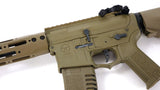 Amoeba GEN5 13.5" M4 AEG - AM-009 Dark Earth - DSC03938