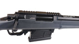 AMOEBA AS-01 Striker Sniper Rifle GEN5 - DSC06048