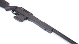 AMOEBA AS-01 Striker Sniper Rifle GEN5 - DSC06218