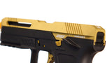 Valken AVP17 GBB Green Gas Pistol - DSC06955